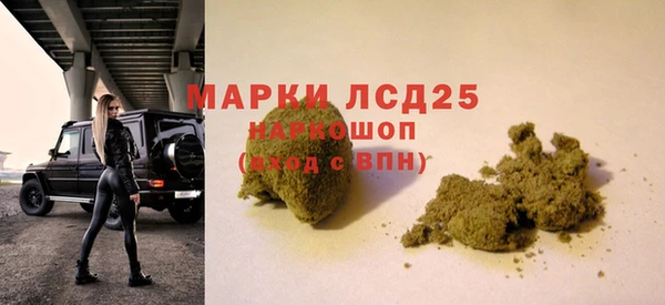 ECSTASY Белокуриха