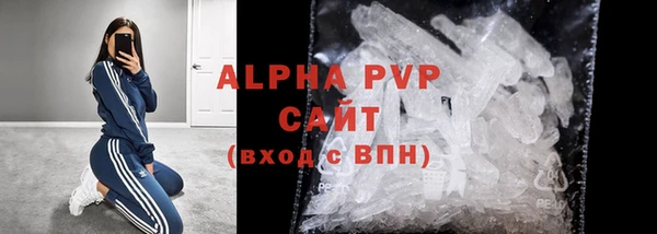 ECSTASY Белокуриха