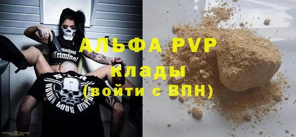 ECSTASY Белокуриха