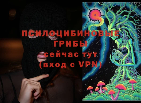 стафф Беломорск